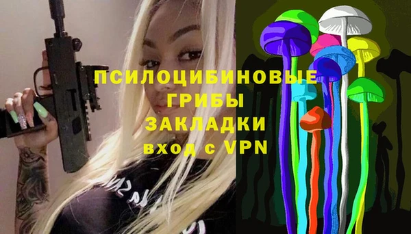 прущие крисы Абинск