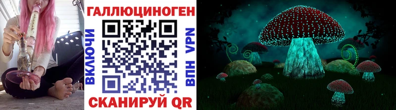Псилоцибиновые грибы Psilocybe  Мегион 
