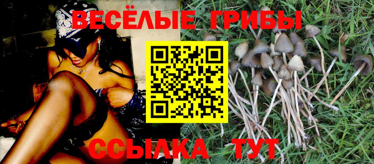 Мегион  Псилоцибиновые грибы GOLDEN TEACHER  Псилоцибиновые грибы GOLDEN TEACHER  Вход с VPN 